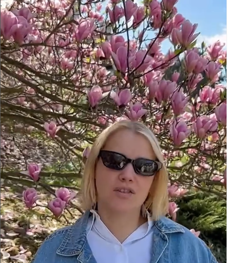 Kulig i magnolie, fot. IG