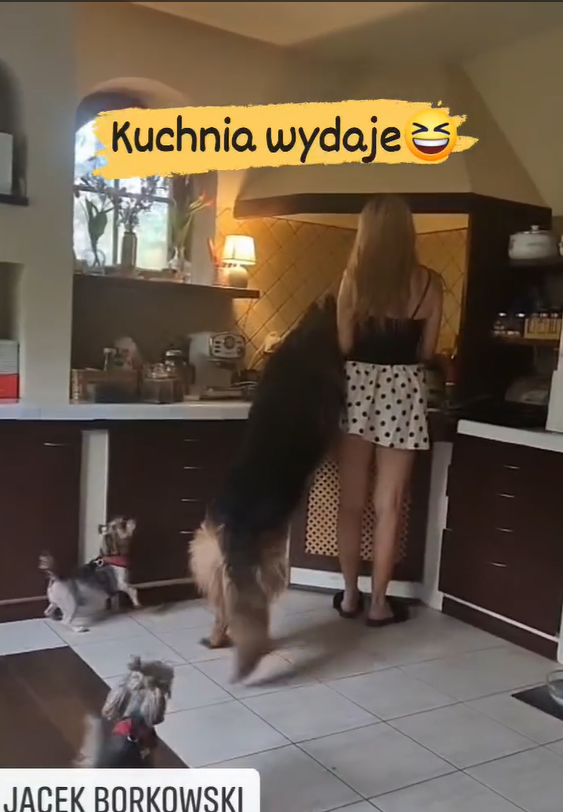 Jolanta Borkowska w kuchni