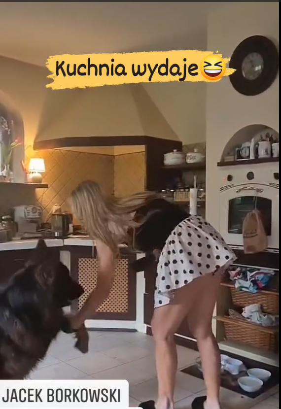 Pieski już czekają na jedzenie