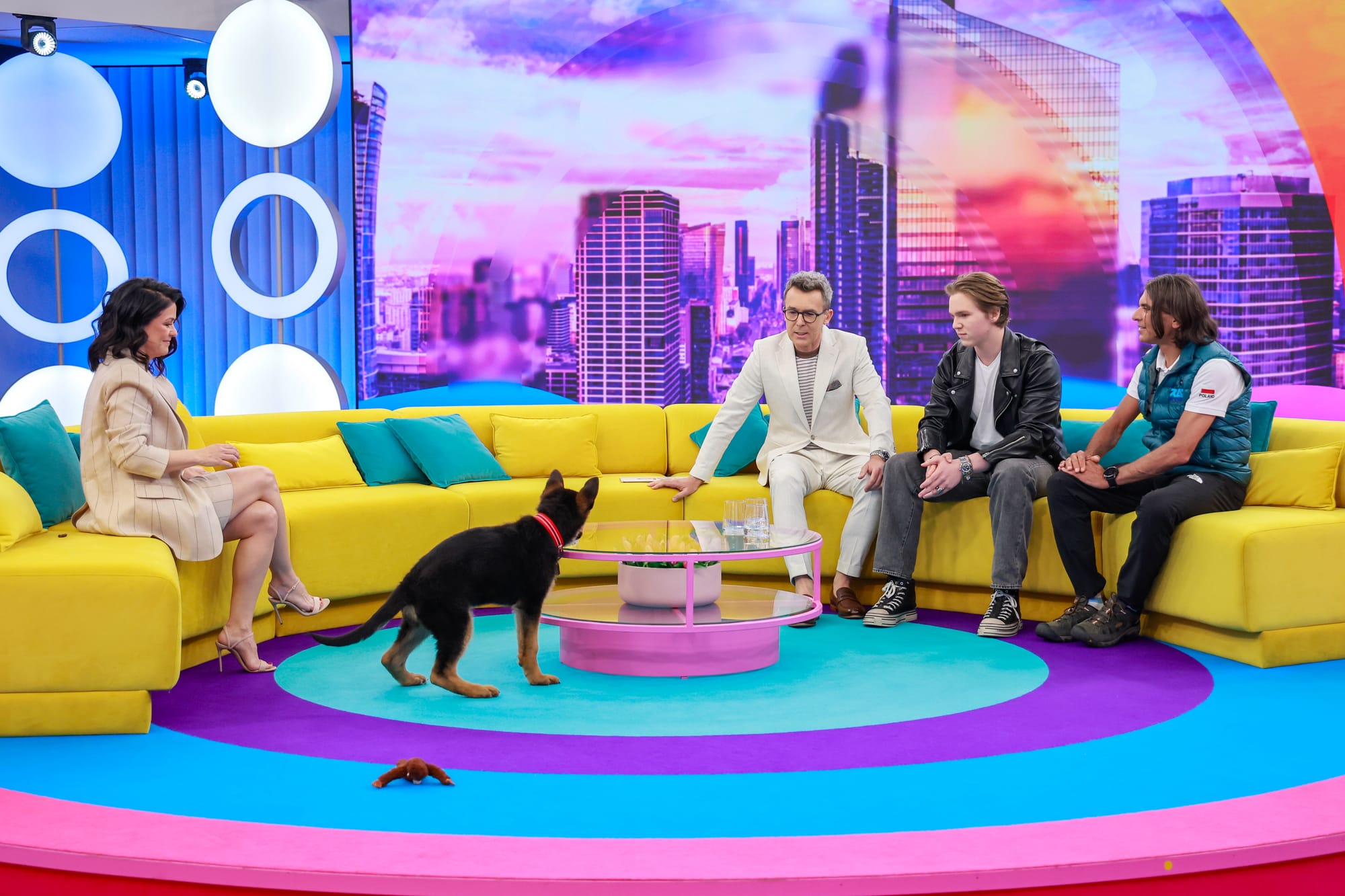 Tak pies Kurzopków harcuje na planie ”Halo, tu Polsat”. Zobacz następne zdjęcie, fot. AKPA