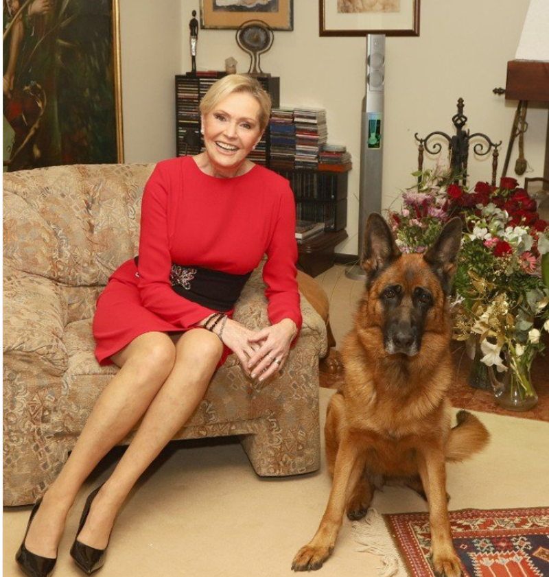 Salon podczas świat
