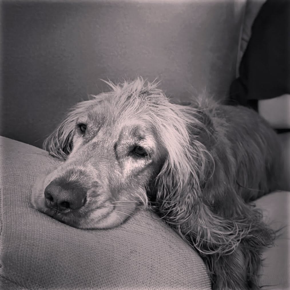 fot. instagram.com