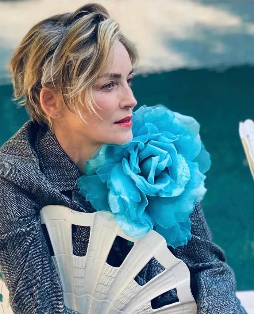 Sharon Stone w bikini na okładce Harper’s Bazaar! 67-letnia gwiazda łamie internet: „Bogini!