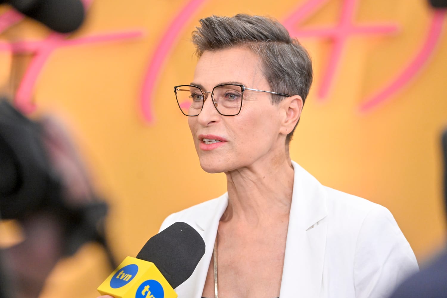 Danuta Stenka