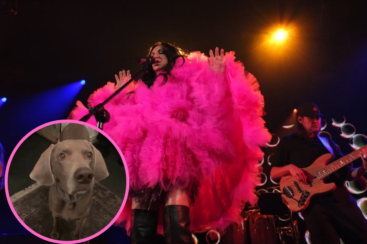 Urodziny w cieniu żałoby. A w perspektywie samotne święta. Piosenkarka przeżywa trudny czas