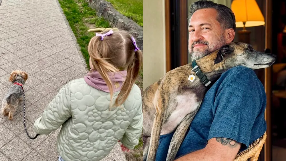 Do serca przytul psa... Gwiazdy świętują dzień psa