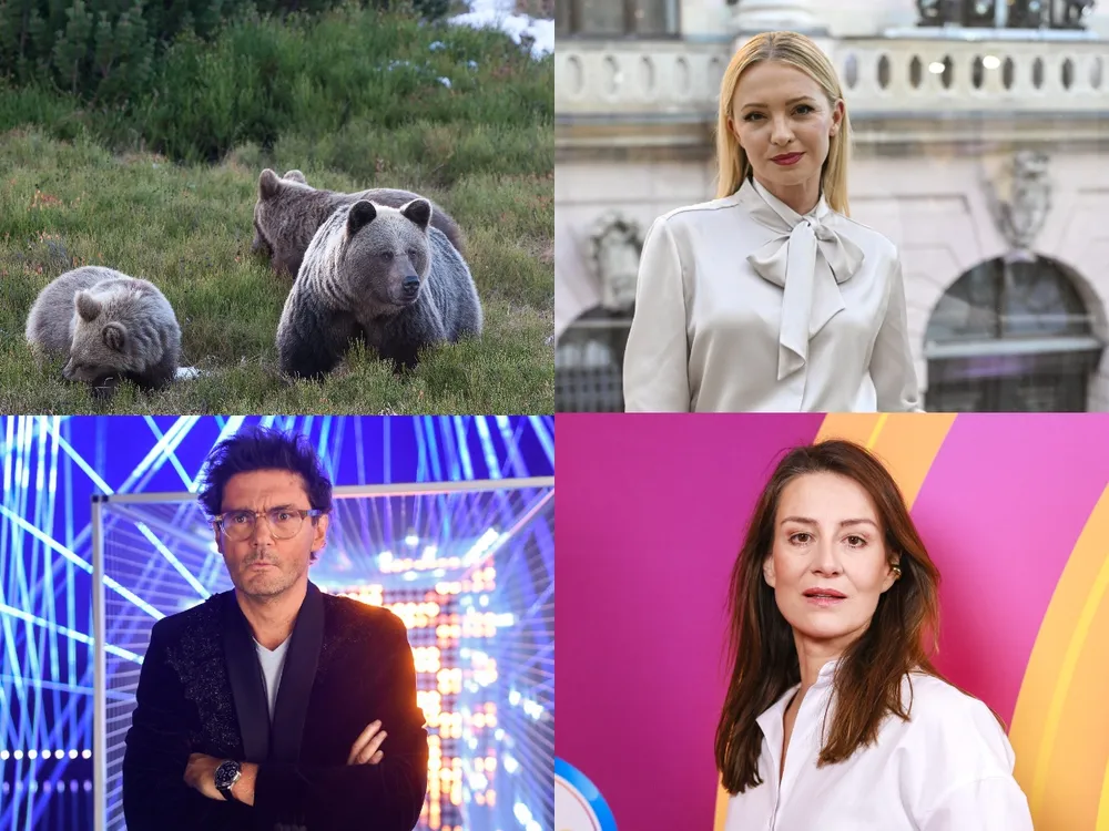 Wiewiórki, dziki, jeże... A co z odstrzałem niedźwiedzi w Bieszczadach? Celebryci nabrali wody w usta