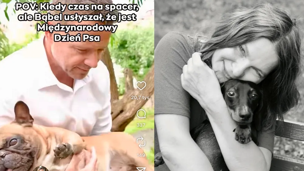 Świat schodzi na psy. O Dniu Psa...