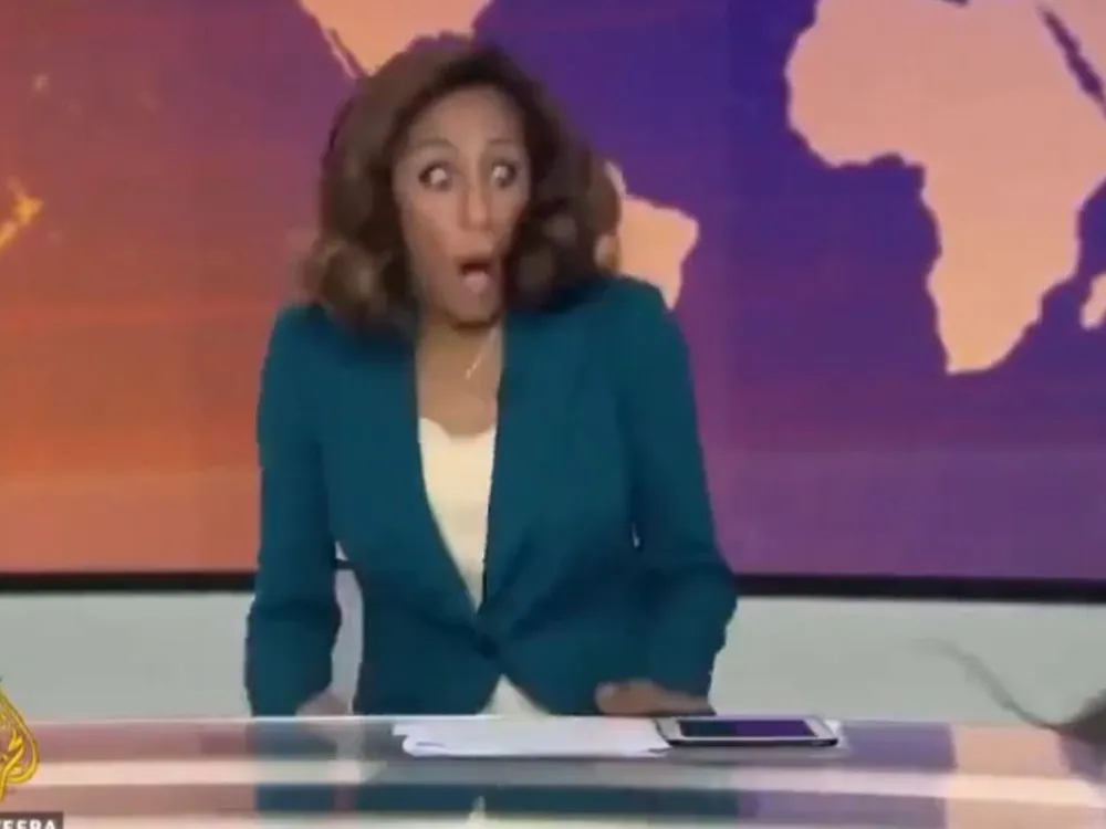 Niecodzienna sytuacja w telewizji. Do studia wbiegł... szczur! Co zrobiła prezenterka? WIDEO