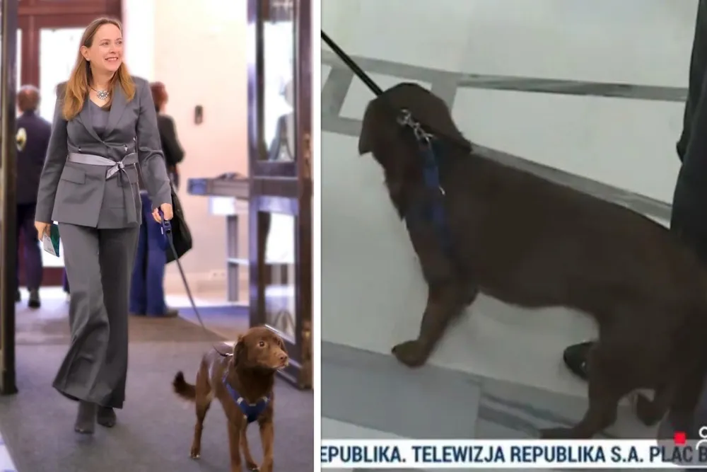 SKANDAL! Pełczyńska z żywym rekwizytem w Sejmie. Tak "wycierają sobie buzie miłością do zwierząt"