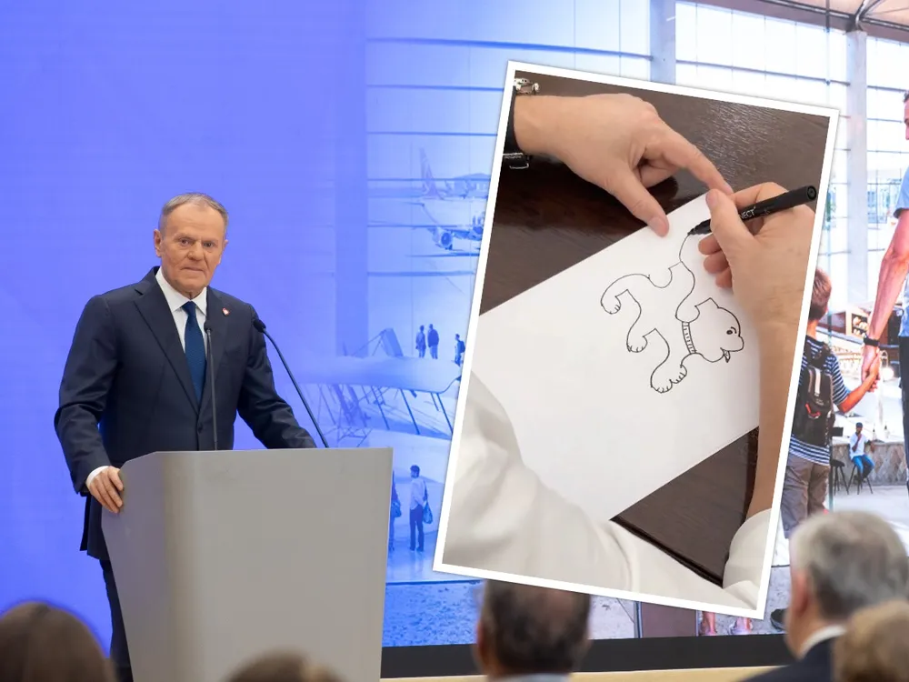 Ochrona zdrowia w ruinie, a Tusk... rysuje pieska. "Do roboty, szalony leniu!" WIDEO