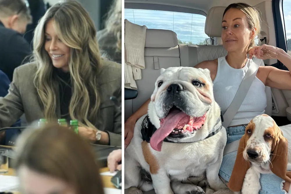 Najpierw schronisko, potem Sejm. Rozenek-Majdan domaga się realnej ochrony zwierząt