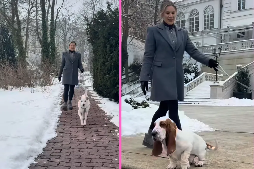 Marta Nawrocka sama wyprowadza swoje psy. Jeden z nich to Yuki, uratowany przed schroniskiem