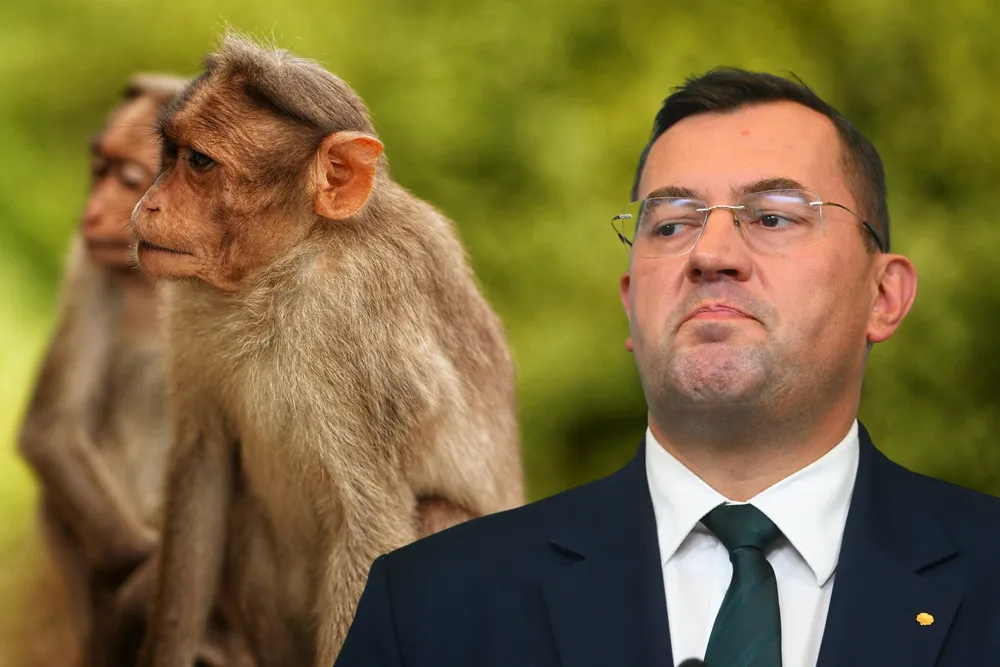 Afrykańscy delegaci wyzywani od "małp" i "czarnuchów". Minister Krajewski balował w najlepsze