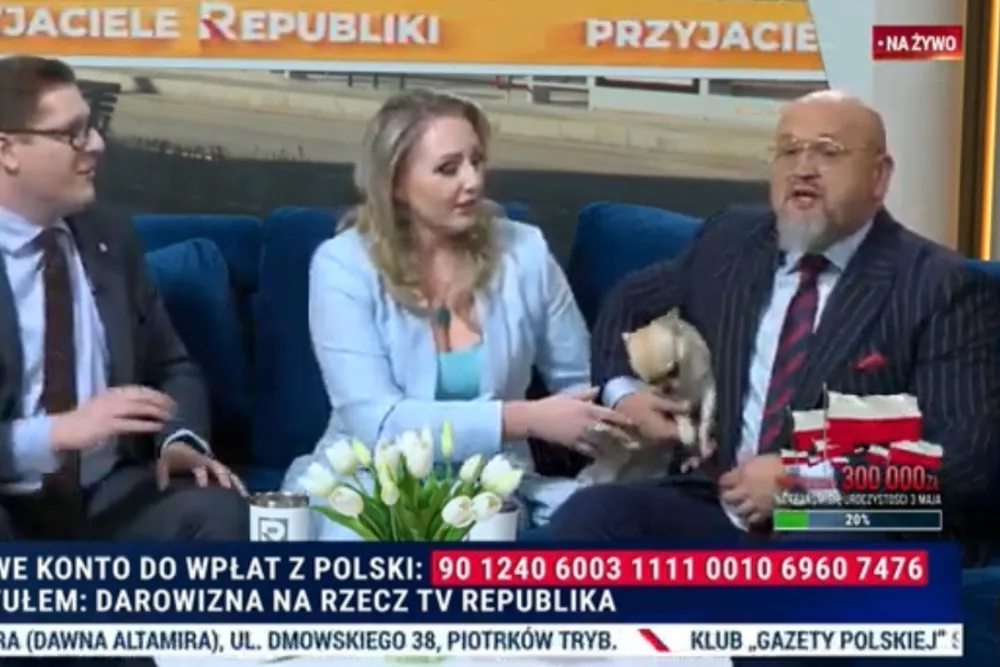 Totalny hit w tv Republika. Pies Rachonia wpadł do studia