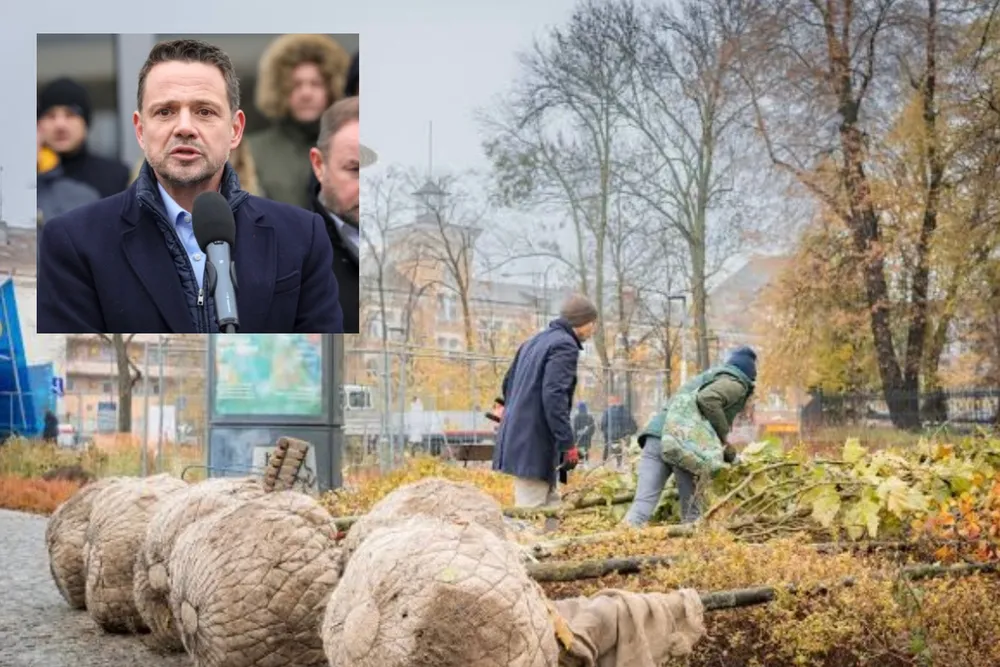 „Wałek na drzewkach”. Warszawa wydaje miliony. „To jest patologia”