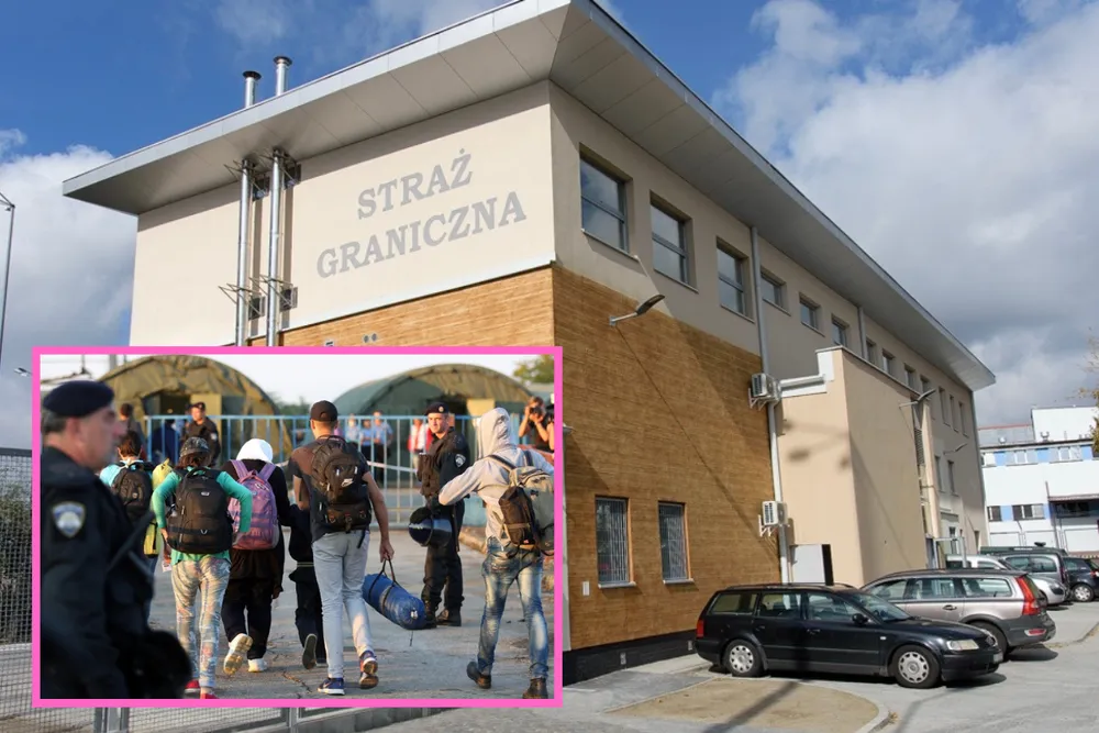 Martwa tłumaczka, która „pracuje”. Jak w Polsce fałszuje się dokumenty na legalizację pobytu