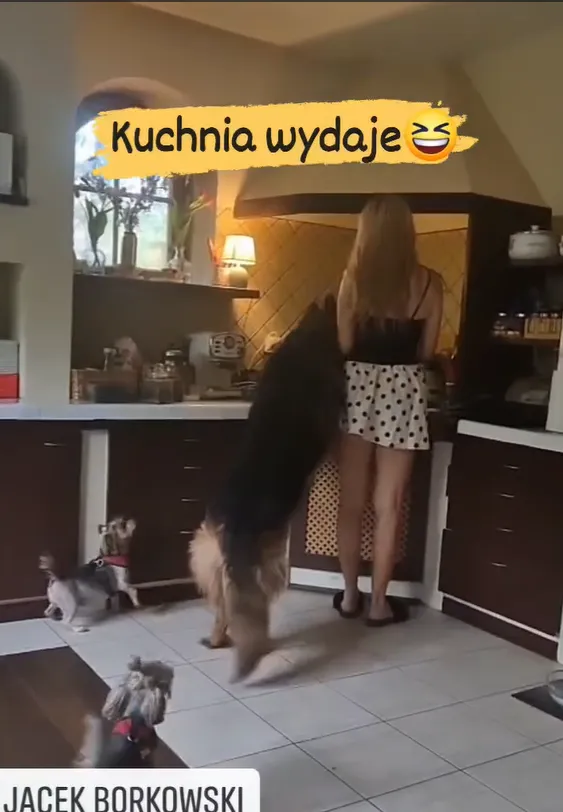 Jolanta Borkowska w kuchni