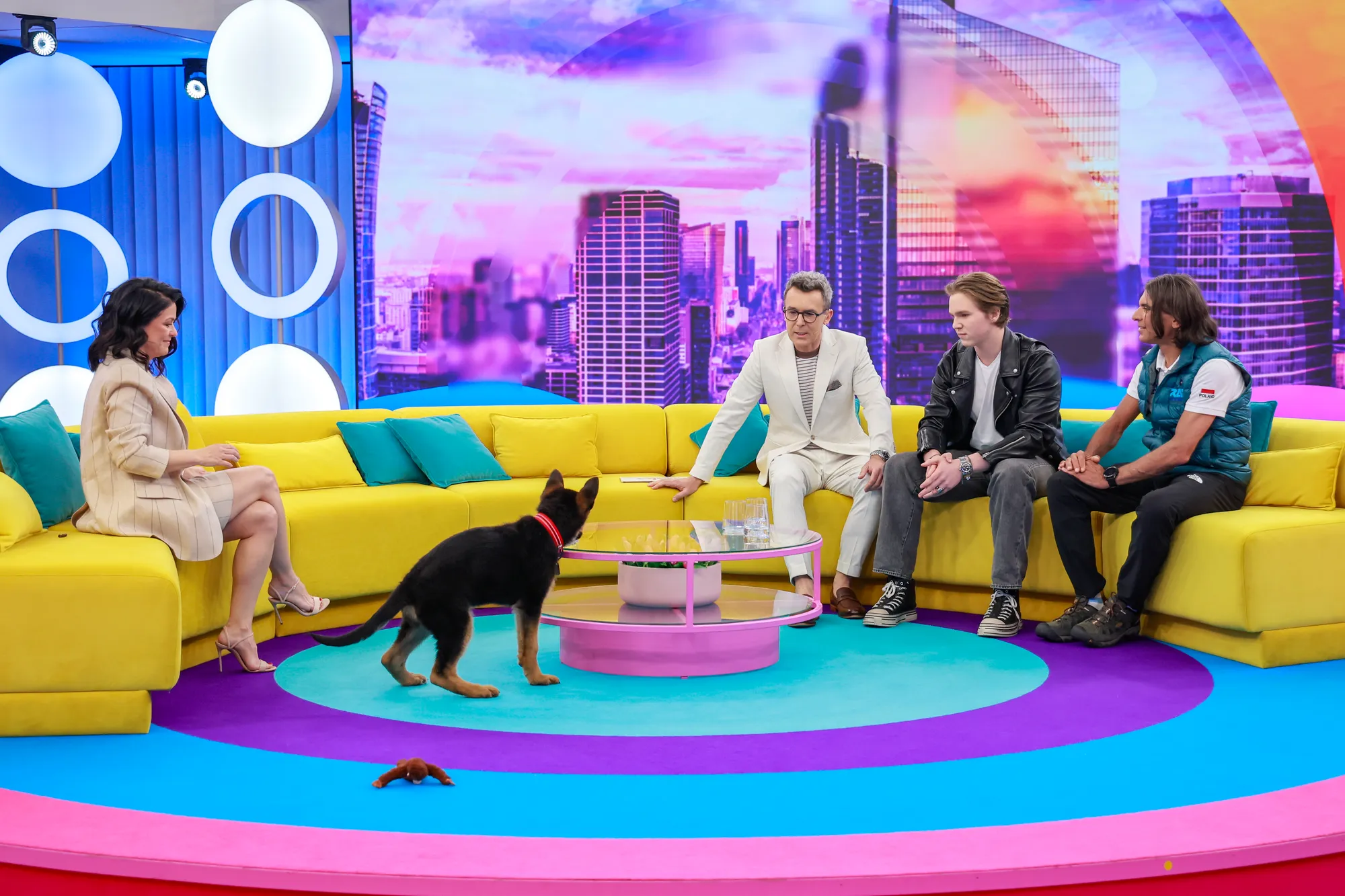 Tak pies Kurzopków harcuje na planie "Halo, tu Polsat". Zobacz następne zdjęcie