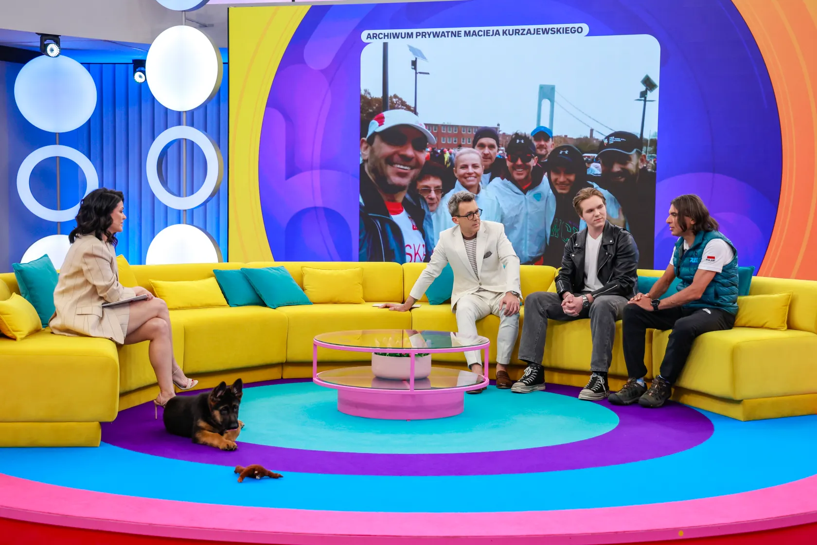 Tak pies Kurzopków harcuje na planie "Halo, tu Polsat". Zobacz następne zdjęcie