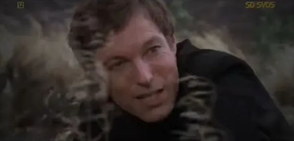 Richard Chamberlain