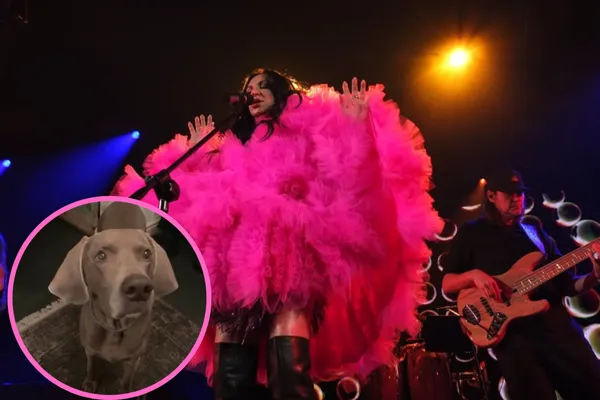 Urodziny w cieniu żałoby. A w perspektywie samotne święta. Piosenkarka przeżywa trudny czas